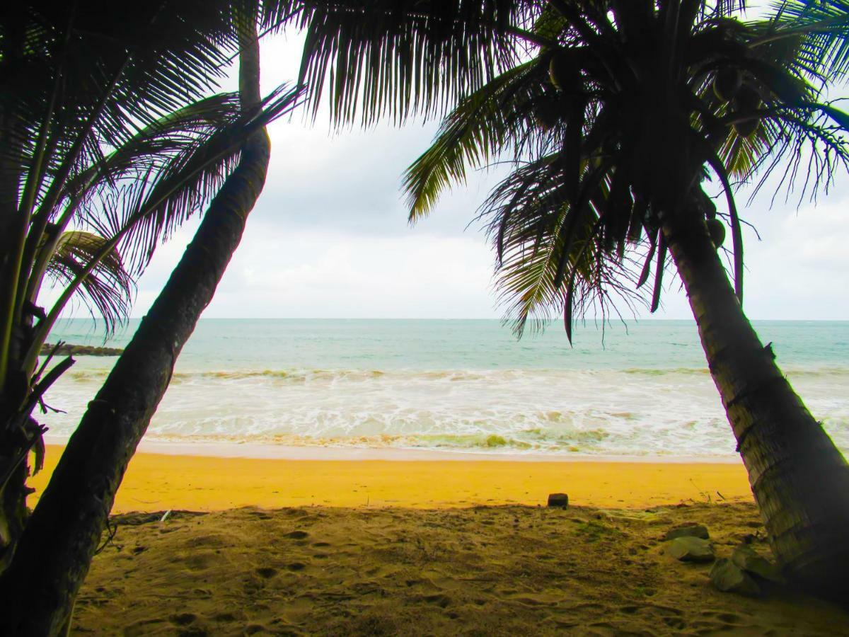 Shanika Beach Inn Tangalle Exterior foto